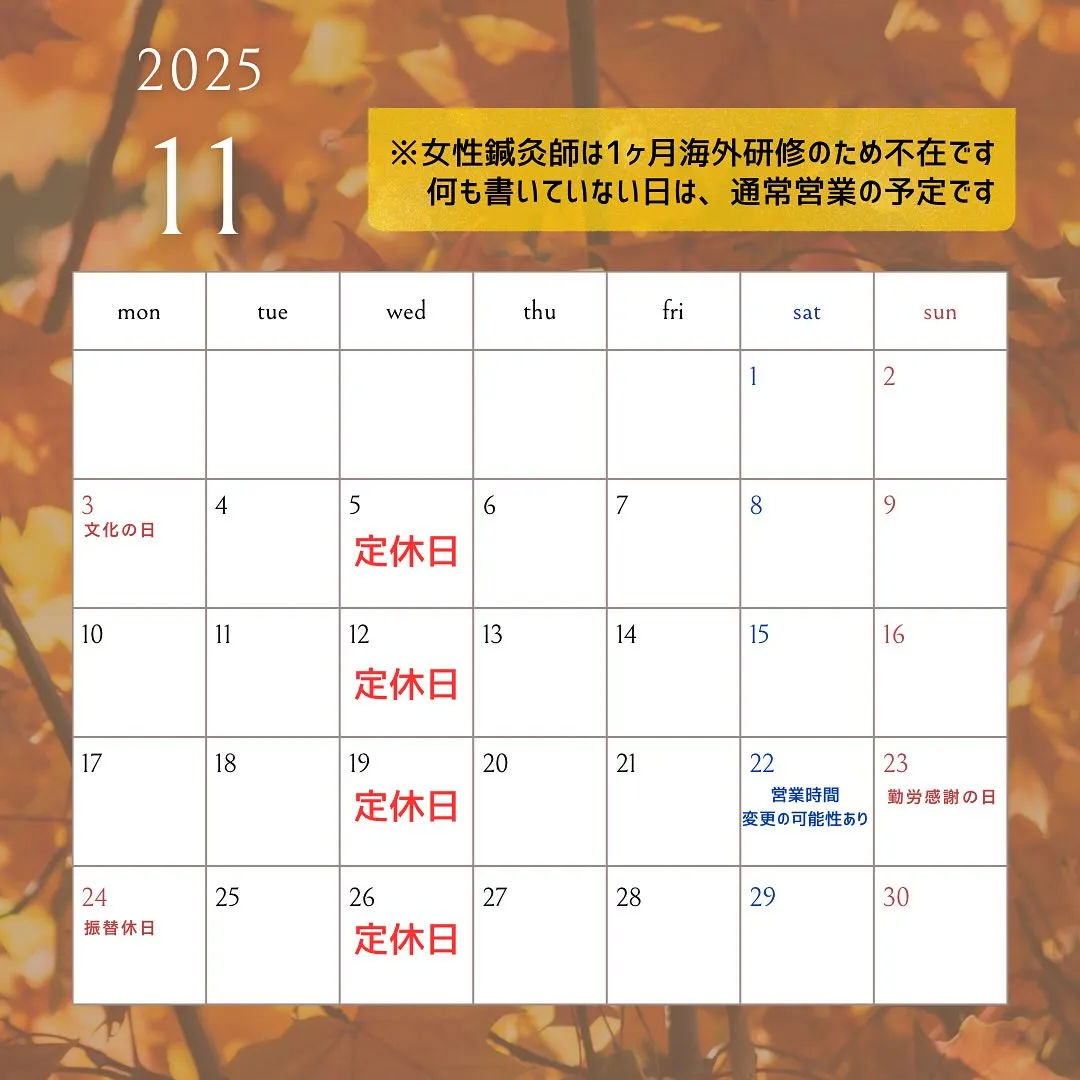 〔鍼灸〕【11月の営業に関するお知らせ】〔江東区〕
