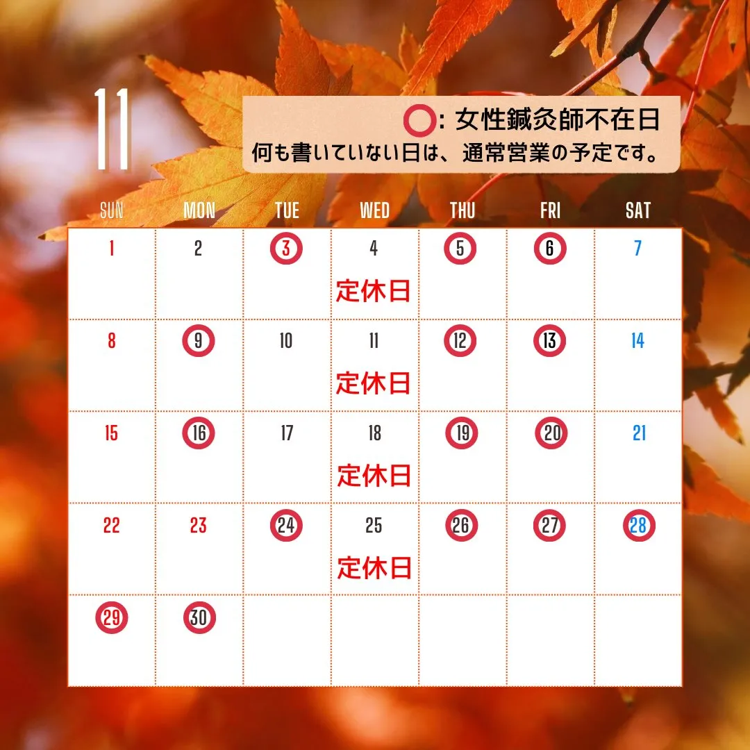 〔鍼灸〕【11月の営業に関するお知らせ】〔江東区〕
